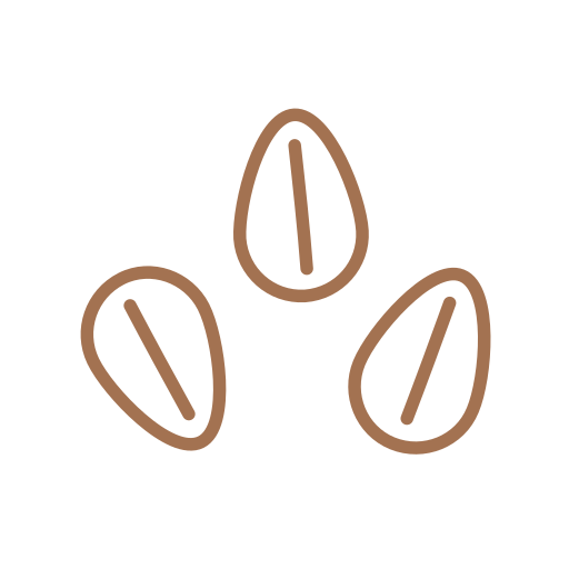 Graines de sésame