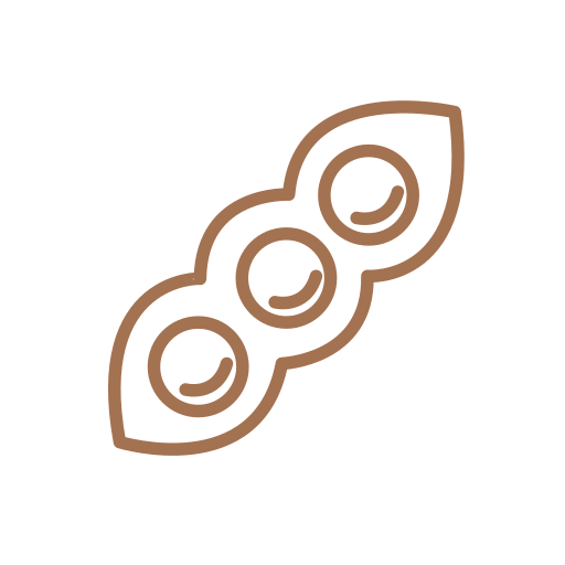 Soja